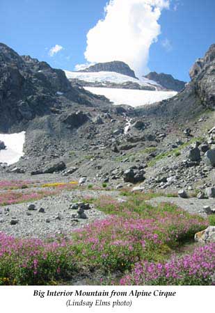 Big Interior Mountain from Alpine Cirque