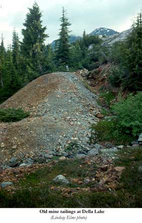 Old mine tailings at Della Lake