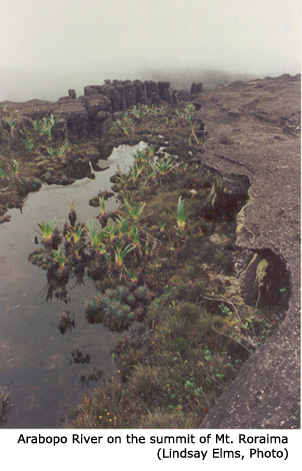 Arabopo River