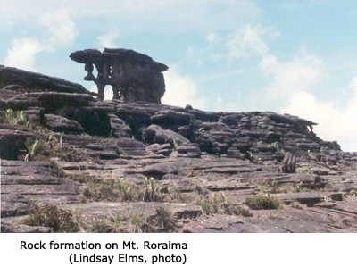 Mount Roraima: An island forgotten by time