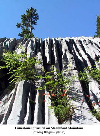 Limestone intrusion on Steamboat Mountain