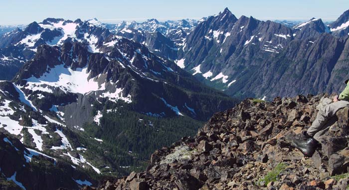 View into Strathcona Park